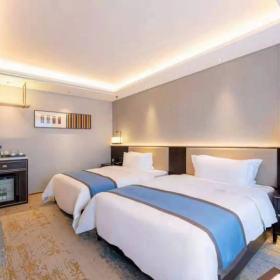 西安加利亞酒店設(shè)計(jì)裝修家具定制工程案例